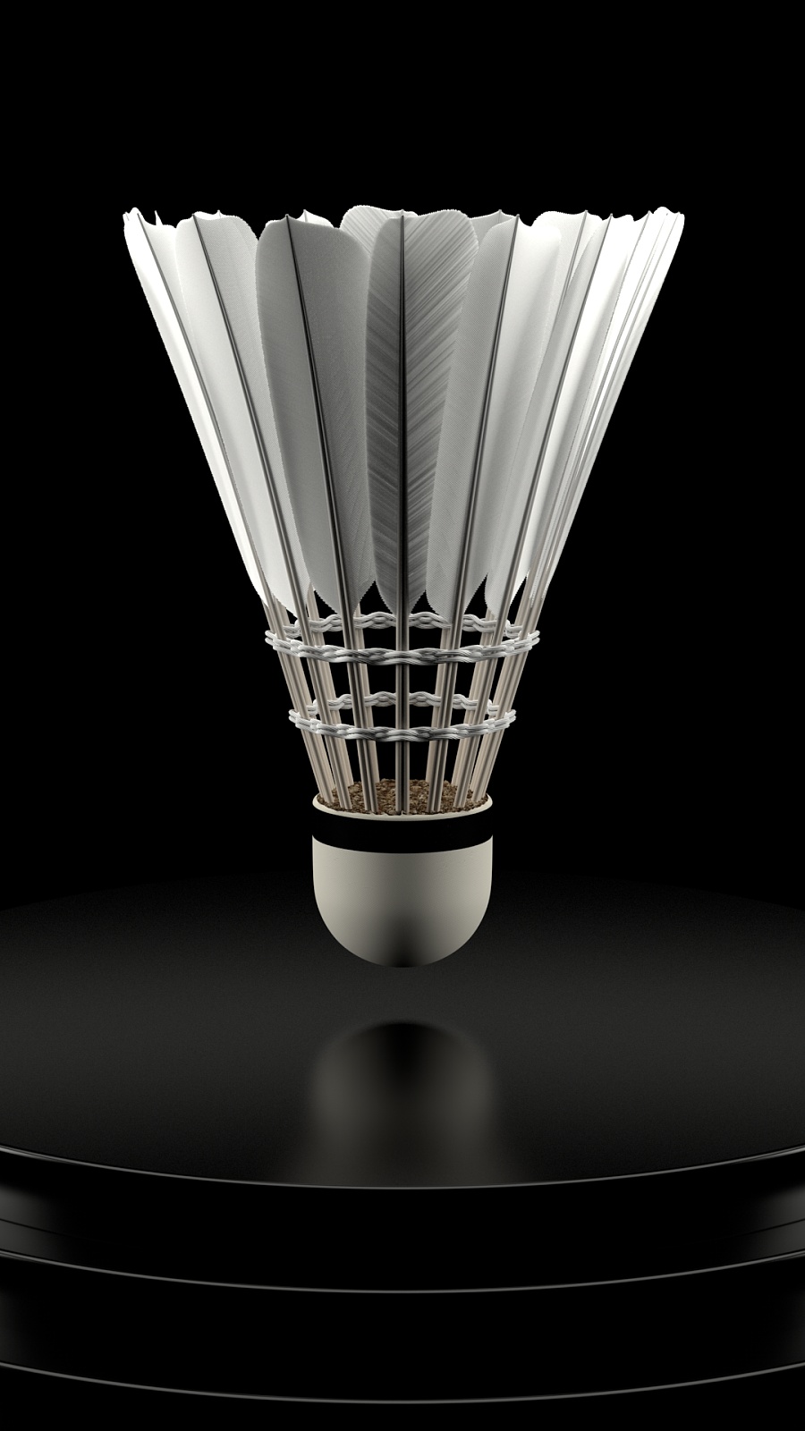 的专业性与 的专业性与